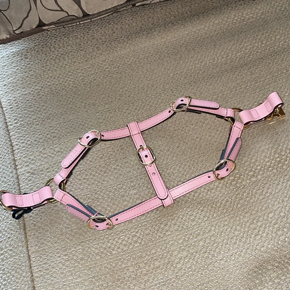 New Gucci dog leash/harness